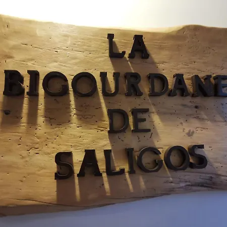 بيت للعطل La Bigourdane De Saligos